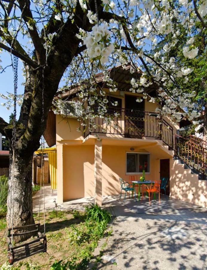 Cherry Tree Art House Belgrade Extérieur photo